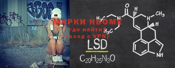 ПСИЛОЦИБИНОВЫЕ ГРИБЫ Арсеньев