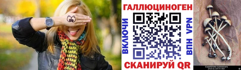 Купить закладки  Скопин  Псилоцибиновые грибы GOLDEN TEACHER 